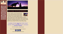 Desktop Screenshot of cyberrodeo.com